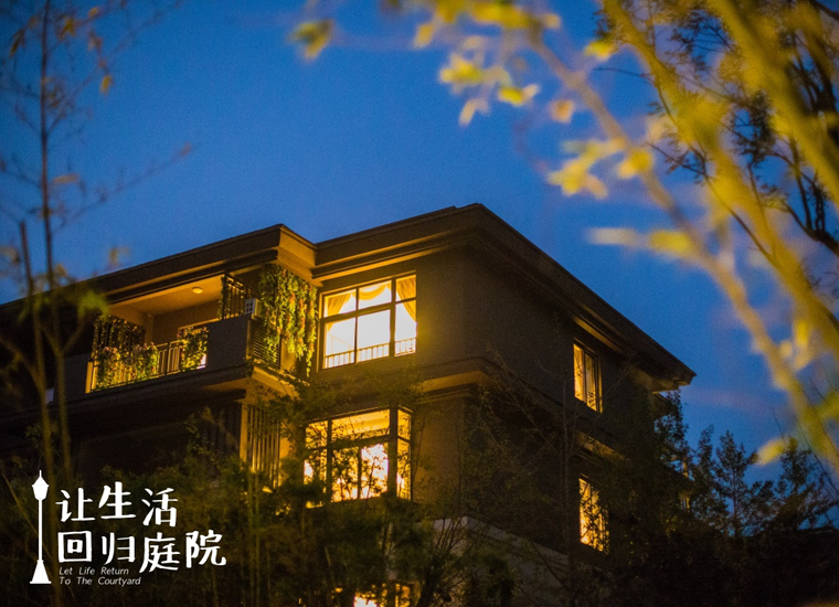 前后张望南阳50年：：：这样的庭院，，，很难再有了！！