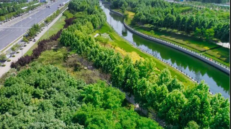 定了！！“神兽”线上开学，，，家里有学生的必看！！